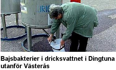 www.svt.