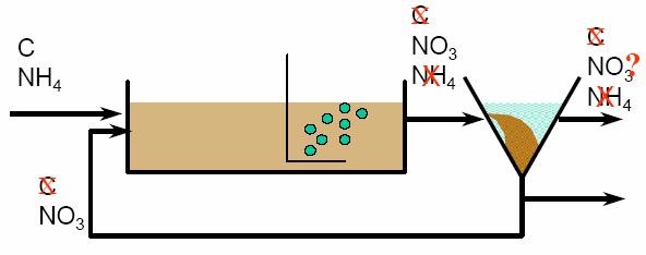 Membran-bioreaktor (MBR) processen i stort Membran-aktiverad slamprocess Nedbrytning av