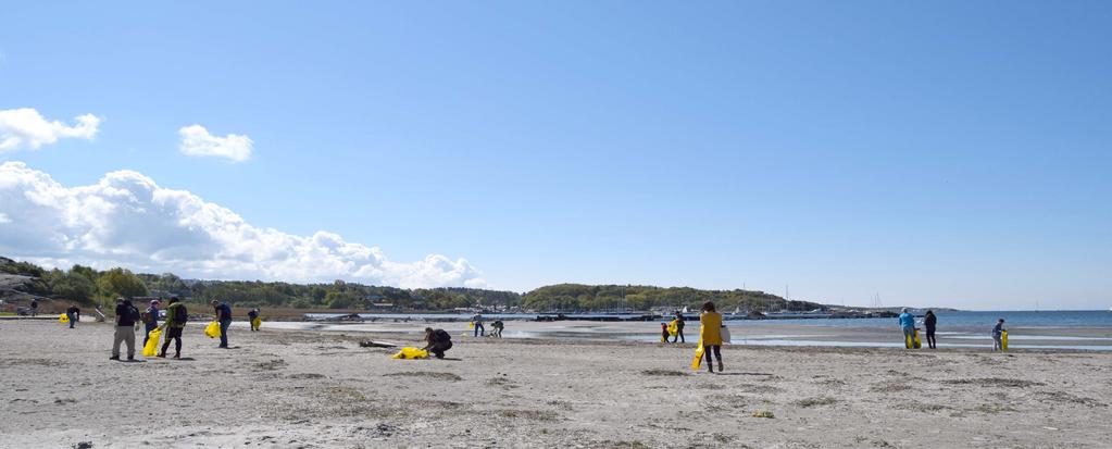 Vilka blir effekterna? Djur äter plast. I värsta fall samlas det så mycket i magen att det kan påverka deras hälsa. I filmen berättar man om stormfågeln, att 90 % av stormfåglarna har plast i magen.