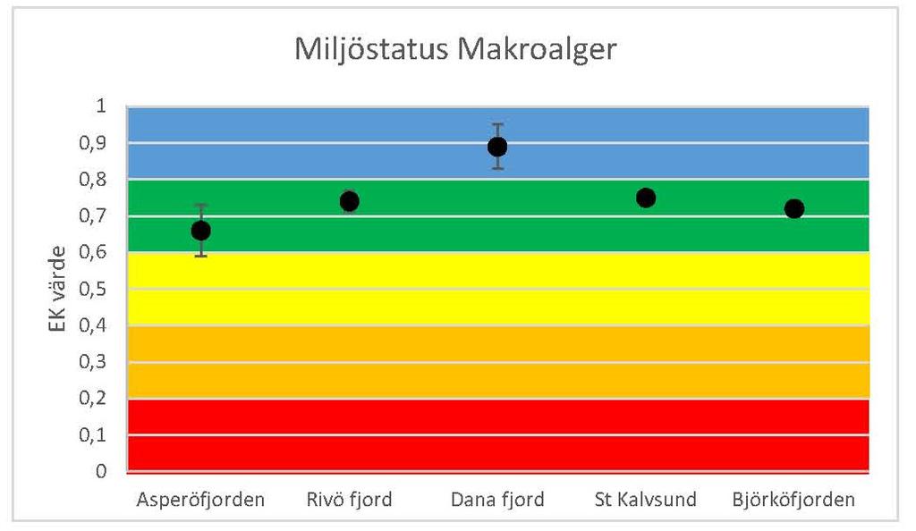 Figur 5. Klassificering av miljöstatus inom de fem vattenförekomster som utgör Ryaverkets recipientområde baserat på djuputbredning av makroalger och ålgräs.