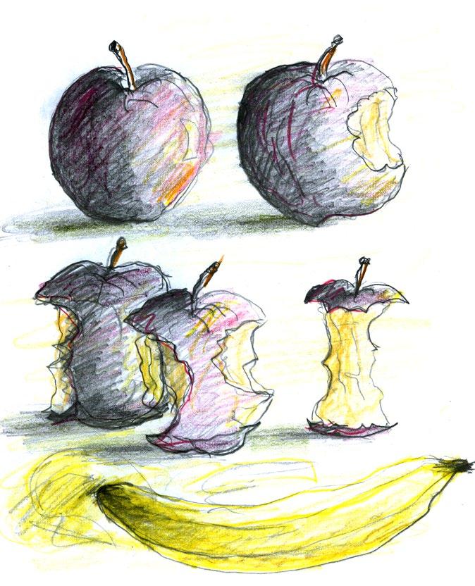 Och vad händer med färg och form när frukten börjar ätas upp? 2.