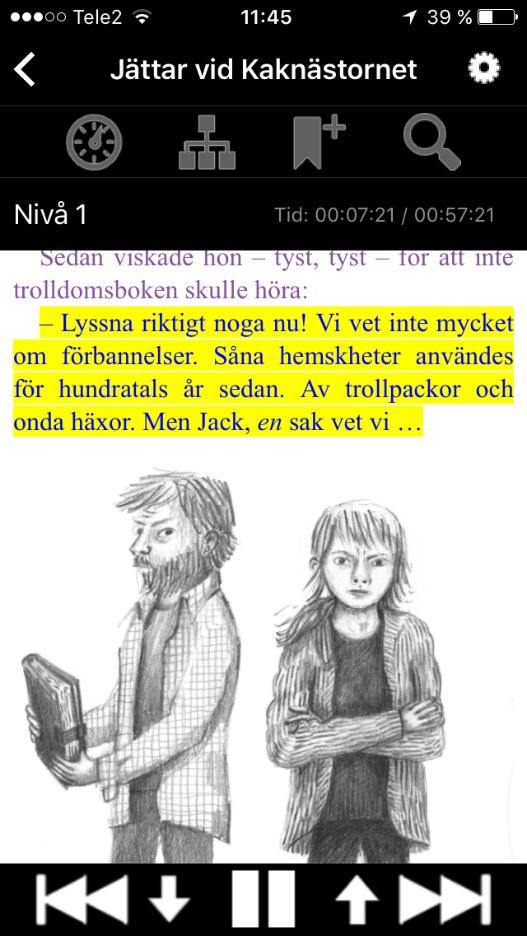 Talbok med text En talbok som innehåller den tryckta bokens text och i de flesta fall även bilderna.