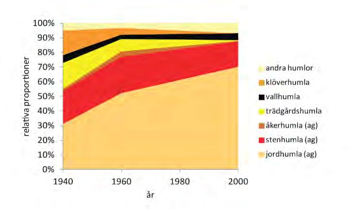 Figur 16. Förändring i sammansättning av humlefaunan i Skånes rödklöverfält från 1940-talet och fram till idag. Figuren bygger på data från Bommarco m.fl. 2012 97.