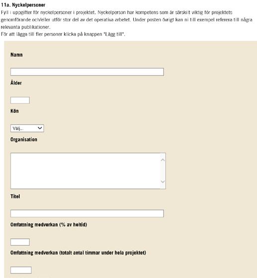 7 (8) Flik 11: Nyckelpersoner Notera att vi inte vill ha in ett traditionellt CV utan det är bara den efterfrågade informationen som bedömarna behöver.
