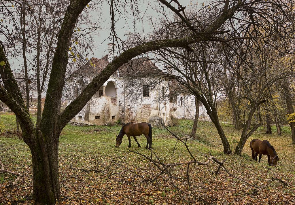 S CH O L Z & FR I E N DS F OTO: B I S S E Brasov Bukarest TRANSSYLVANIEN På vårkanten och under höstmånaderna är klimatet som mest behagligt (på sommaren kan det bli över 35 grader) och då slipper du