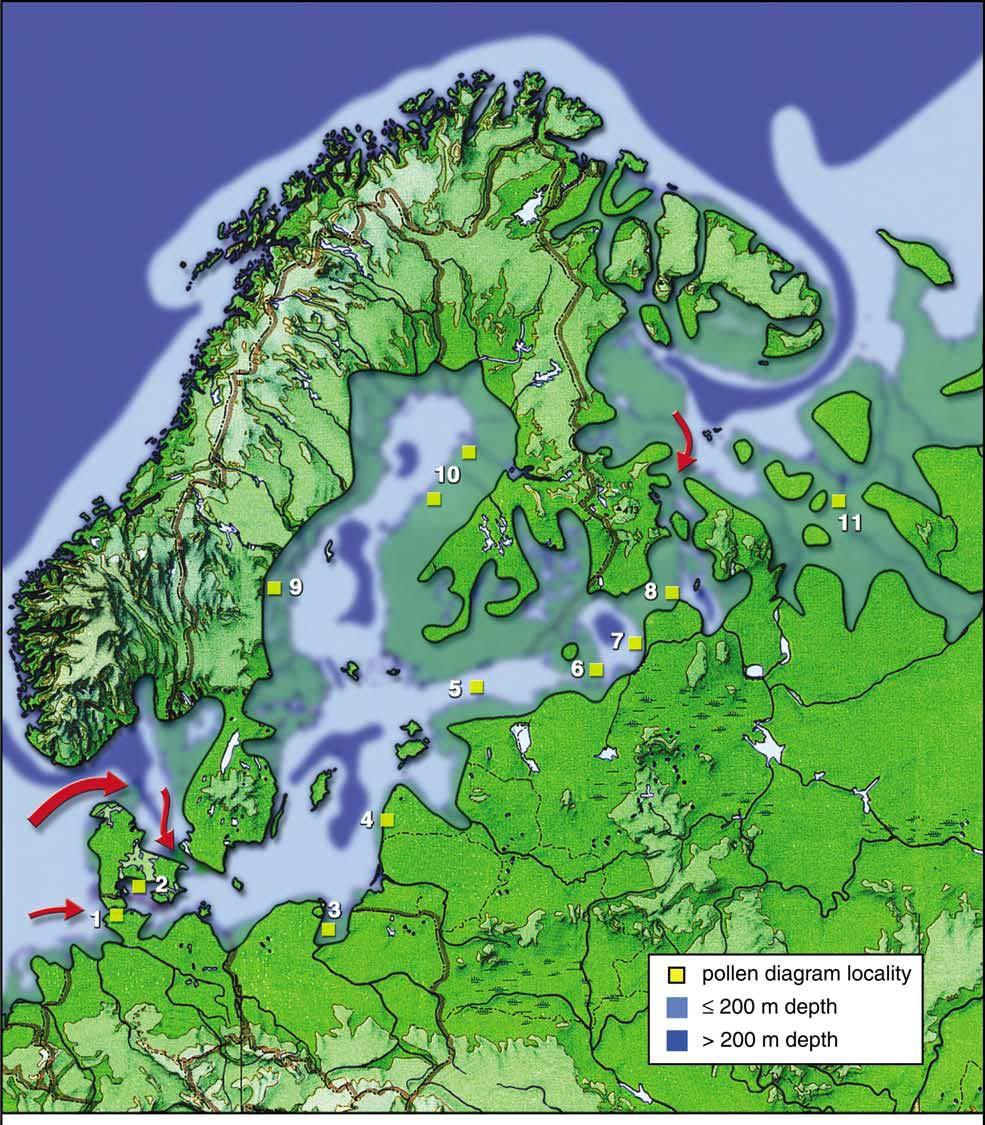 Östersjön under Eem (senaste mellanistiden)