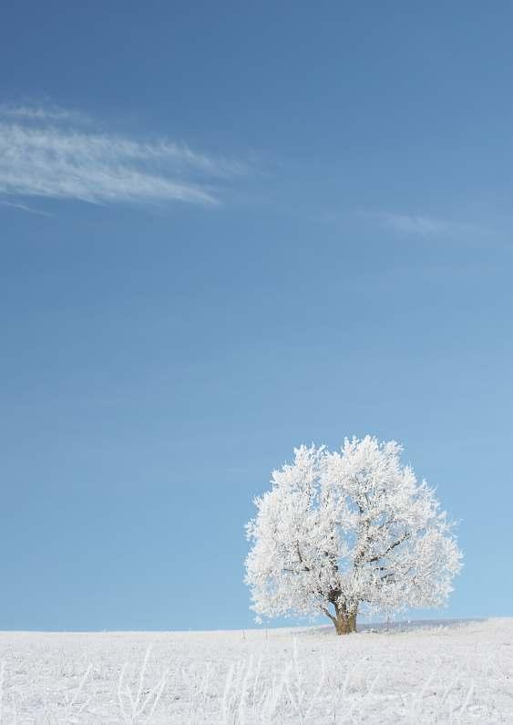 MÅNADSBLAD december