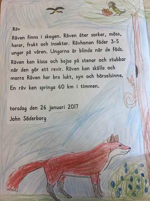 Räven