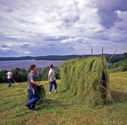 Sommar i Hemsjö och Ödenäs Sommarkyrka i Hemsjö Söndag 26/6 söndag 10/7 Öppet dagligen kl 15 20 Utställning: Hemsjö Sveriges vackraste by? med bilder av fotograf Bengt Andreasson.