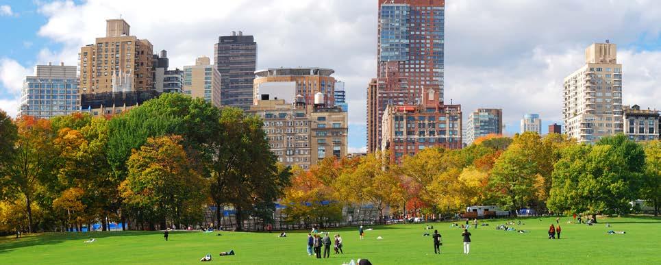 Om naturreservatet begränsades skulle Järvafältet kunna utvecklas till en attraktiv och innehållsrik park precis som Central Park i New York.