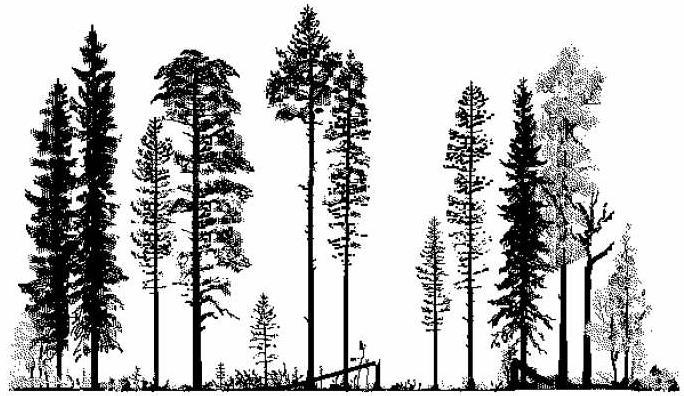 156 Svensk skogspolitik Den svenska skogsvårdslagens första paragraf lyder så här: Skogen ska skötas så att den uthålligt ger en god avkastning samtidigt som den biologiska mångfalden behålls.