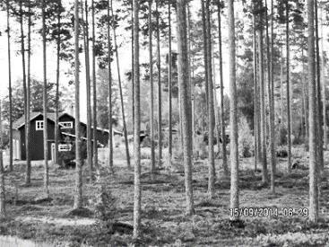 25 2 PRINCIPEN NATURKULTUR Denna princip är överordnad Metoden Naturkultur. Målsättningen är att maximera nuvärdet av alla nyttigheter på varje punkt i skogen.