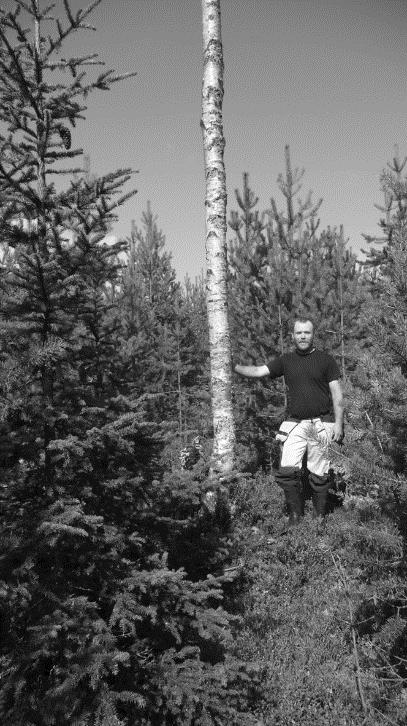 38 Konkurrensens räckvidd Figur 3.11. Anders Lundholm bredvid en frötall på sin mark i mellersta Västerbotten, latitud 65 ca 150 möh. Tallen har skapat en lucka med ca 5 m radie i ungskogen. Figur 3.12.