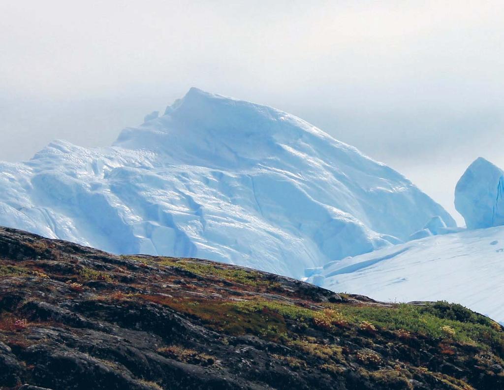 Välkommen till Grönland King s Road Narsarsuaq, Igaliku och Narsaq. Från Narsarsuaq reser vi med båt till Itilleq genom fjorden Tunulliarfik.