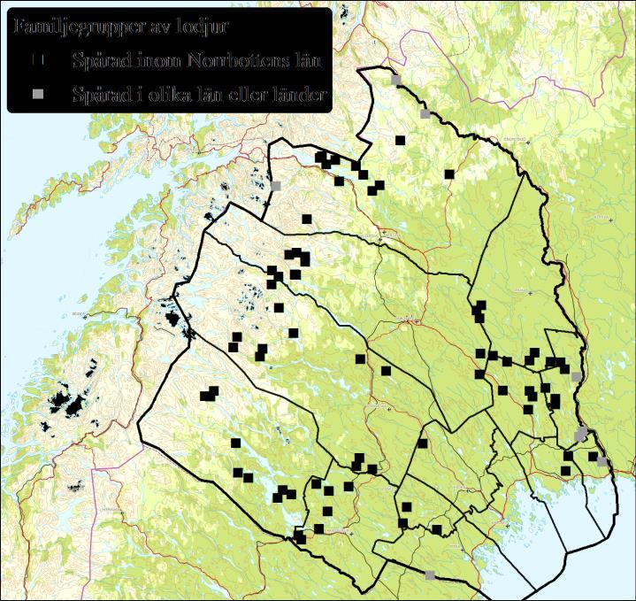 11(18) Figur 3. Antalet lodjursindivider i Norrbottens län mellan åren 1998 och 2015 inklusive 95 % konfidensintervall.