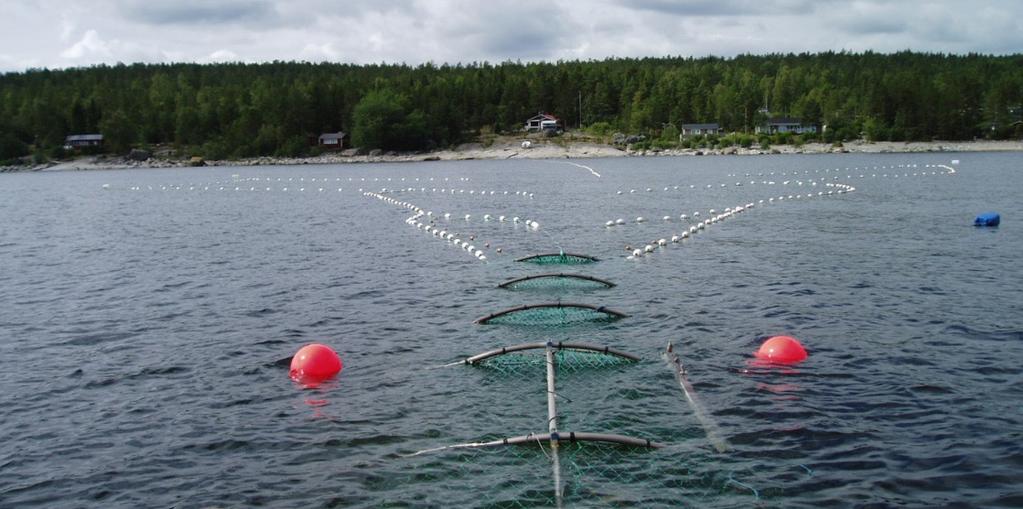 a. b. c. Figur 6. a. En laxfälla och tillhörande pushup-fiskhus. b. Pushup-fiskhus på väg upp för tömning. c. Pushup-fiskhus redo för tömning av fångst.