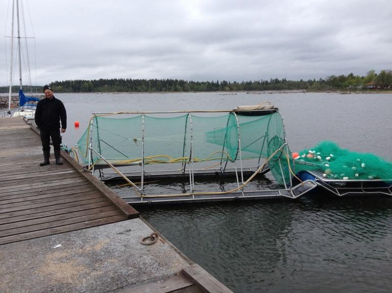 Figur 7. Ett mindre pushup-fiskhus med tillhörande fälla på en flotte. Redskapet är utvecklat för att det ska vara möjligt att enkelt flytta hela redskapet genom att dra upp fällan på flotten.