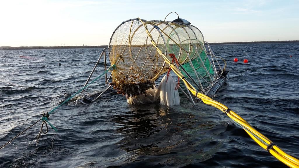 Figur 9. Ett pushup-fiskhus och tillhörande fälla för fiske efter torsk. Foto: Sven-Gunnar Lunneryd 4.2.