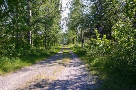 HÅLLPUNKTER Omvärld och trender Ledarskap på distans Utmaningar Sex