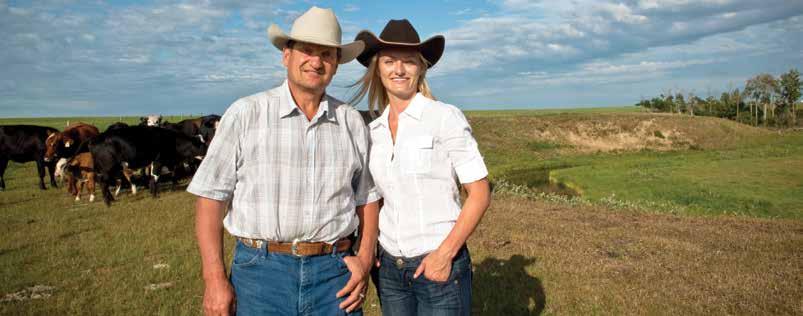 BERN OCH KRISTEN PÅLITLIGA LEVERANTÖRER AV NÖTKÖTT FRÅN SPRING CREEK-GÅRDEN I VEGREVILLE, ALBERTA.