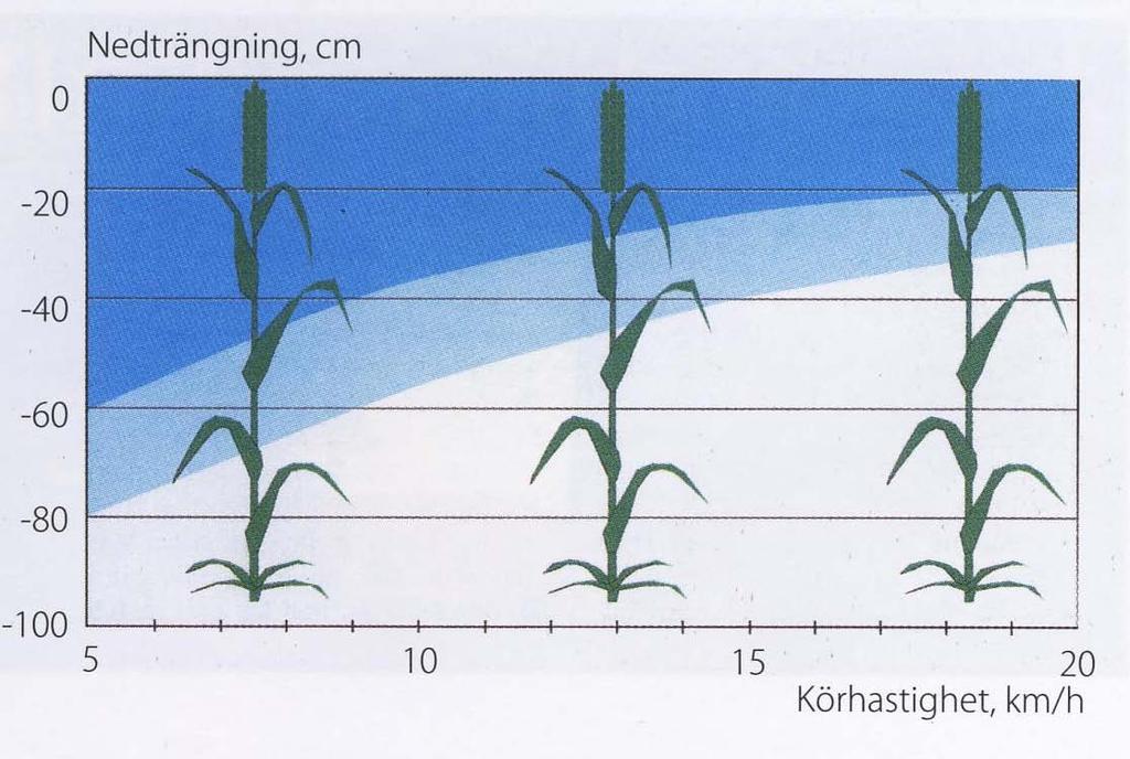 Körhastighet