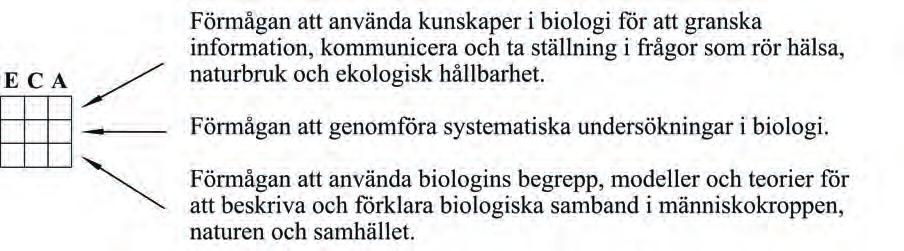 NATIONELLT ÄMNESPROV I BIOLOGI 2017 Det nationella ämnesprovet ger dig möjlighet att visa vad du kan i biologi.