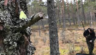 Foto: Fredrik Litsgård, Ecocom på projekt som har liten chans att få ett tillstånd eftersom platsen har höga naturvärden.