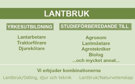 LÄS MER PÅ OKNASKOLAN.SE LANTBRUK Öknaskolan har två jordbruk, med 650 hektar åker och betesmark. Hos oss är det alltid lätt och nära att praktiskt pröva det du lär dig i lektionssalen.