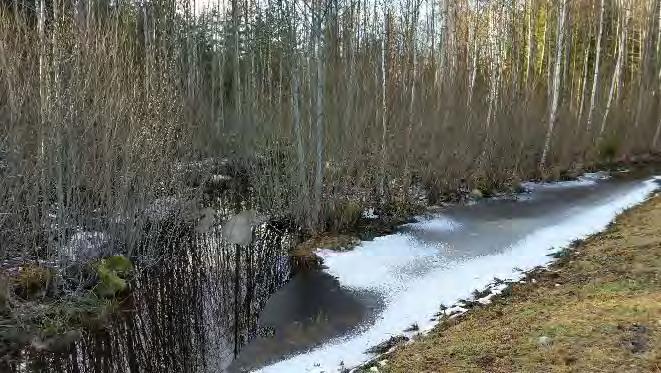 Dikesvatten med ursprung från flygplats och skogen i närheten av flygplatsen mynnar ut i diket vid Öjabyvägen, se