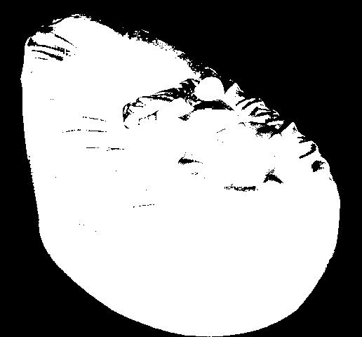 ca 7 år.