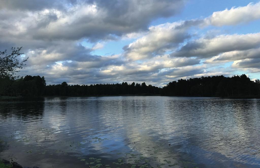 Årets sommarkurs var den 24:e i ordningen. Sommarkursen är så mycket mer än föreläsningar och workshops. Det finns också gott om tid för att umgås och lära känna nya kollegor från hela vårt rike.
