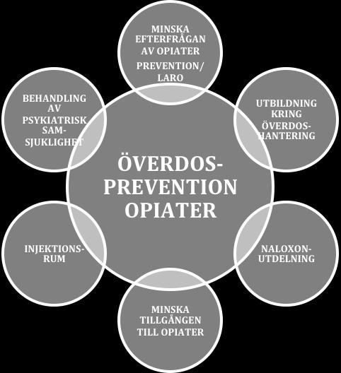 att utreda förutsättningarna för att på ett säkert och effektivt sätt minska dödligheten vid opioidöverdosering genom ett ökat tillgängliggörande utanför hälso- och sjukvården av antidoter i form av