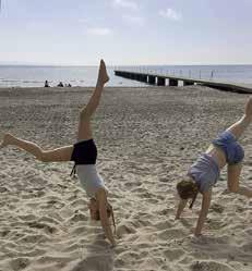 Betet på strandängarna tillsammans med de regelbundna översvämningarna av salt havsvatten, har gjort att det över århundradena har utvecklats en speciell saltängsvegetation med en mångfald av växter