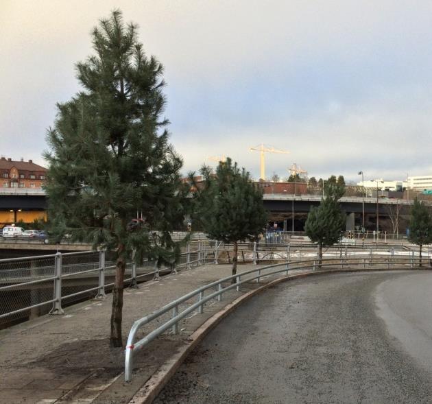 Figur 15. Konstruktion av växtbädd med kolmackadam på Rörstrandsgatan i Stockholm. (Foto: Björn Embrén??) Organisation Det är Trafikkontoret i Stockholm stad som äger och ansvarar för anläggningen.