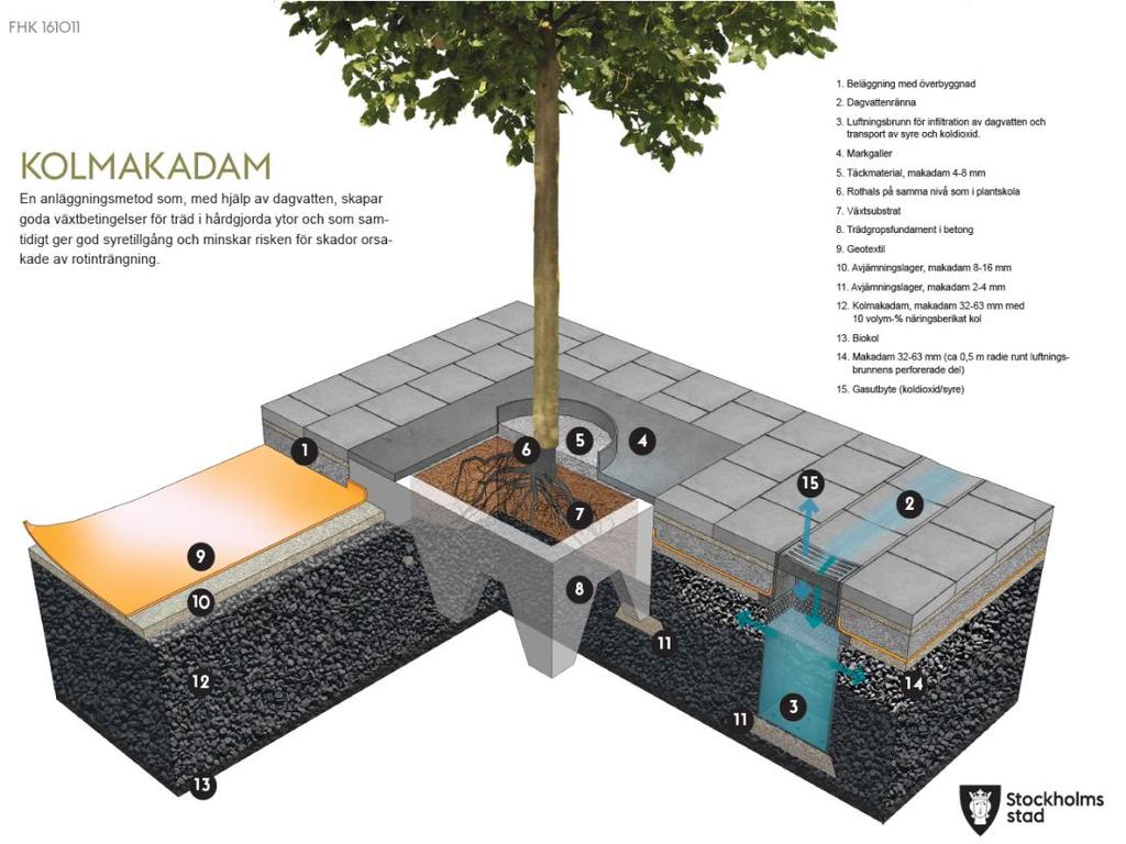 Figur 16. Principskiss av dagvattenfördröjning genom växtbädd med kolmackadam. (källa: Trafikkontoret, Stockholm stad).