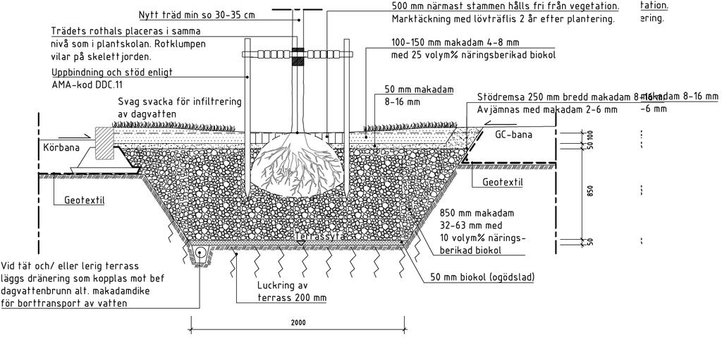 Figur 19. Principskiss av trädplantering i gräsyta med kolmackadam. Anmärkning.