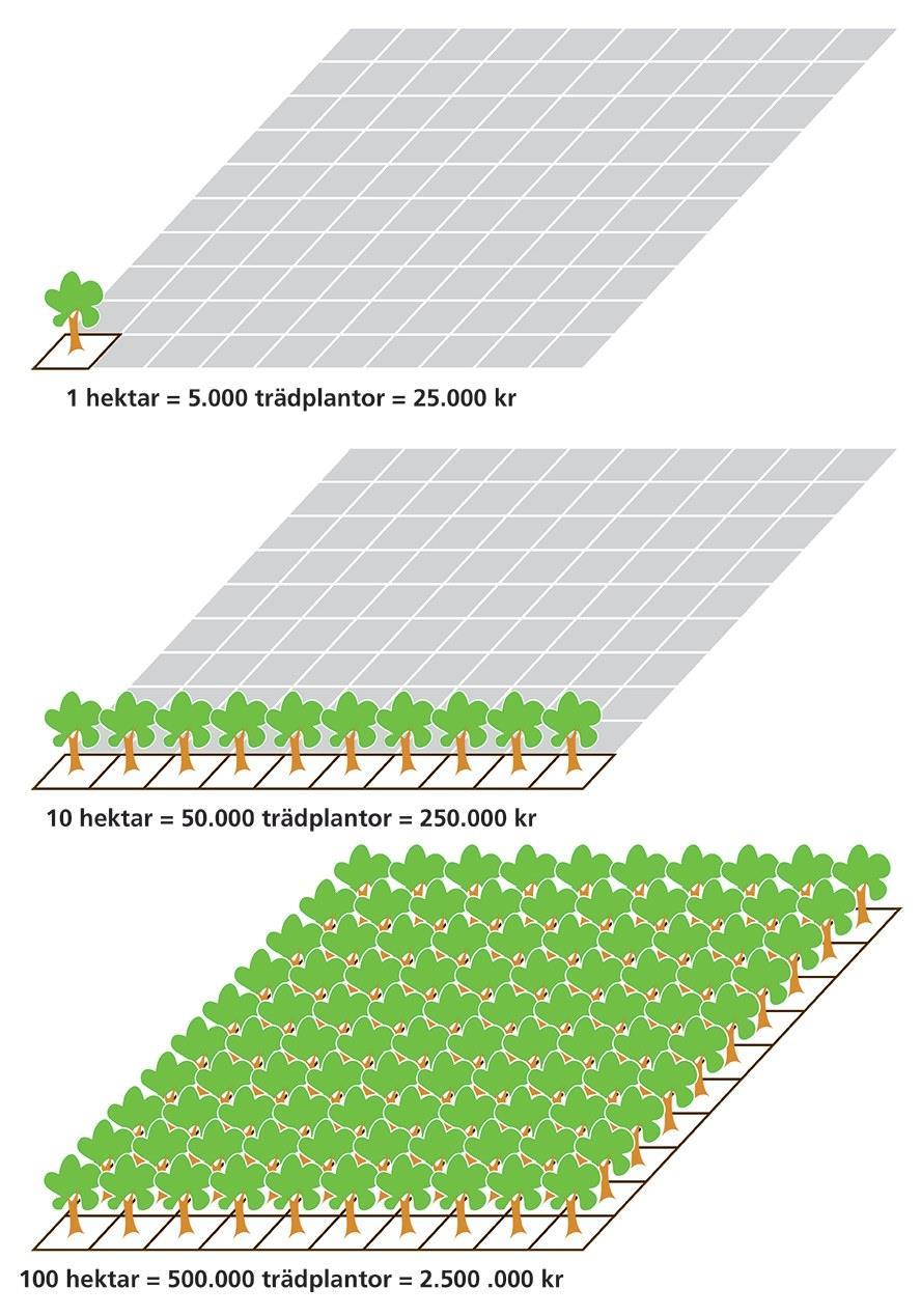 Enklast är att bestämma sig för ett antal träd