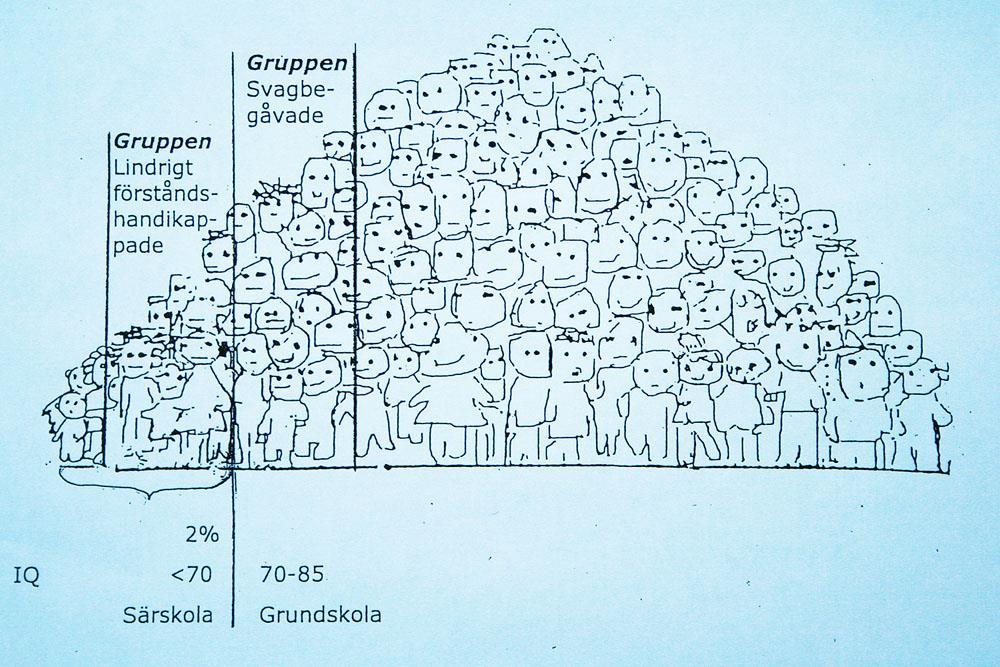 /maj 2000 BarnNU-teamet, Sektionen för Barnneurologi och