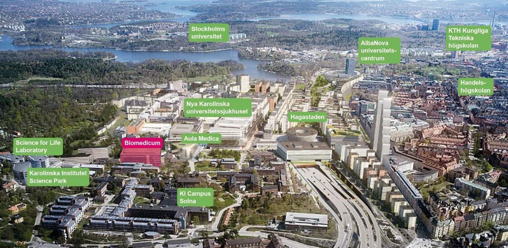 Biomedicum i life science-klustret Hela området kring KI campus Solna kommer att genomgå en större