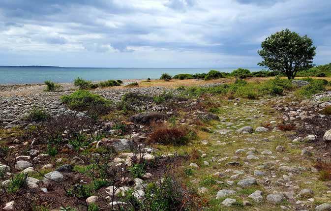 Naturreservatet Näsbokrok i Ölmevalla. 12.