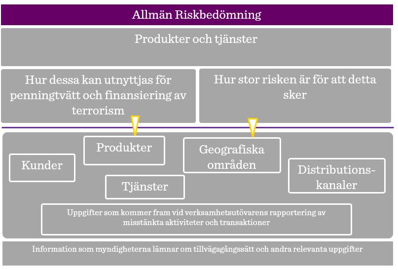 Figur 2: Illustration av genomförandet av en allmän riskbedömning enligt Proposition (2017).