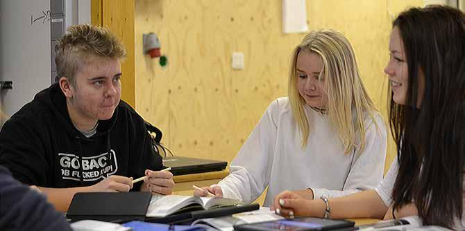 Lärlingsutbildningen ger dig möjlighet att träna och lära dig ett praktiskt yrke ute på en arbetsplats Parallellt läser du de teoretiska ämnen på skolan.