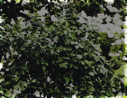 Trädgårdsbord Tarragona med skiva i gråpolywood med underrede i svartlackerad stål, finns även med vitlackerat