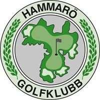 Juniorgolf 2018 Hammarö GK Golf ska vara kul för alla.