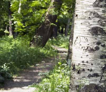 Anmälan: senast 5/9. Info och anmälan: Dag Bjärnhall, präst, 0470-704882, dag.bjarnhall@svenskakyrkan.se Sommar på Diakonicentrum Välkommen till Diakonicentrum under sommaren 2017.