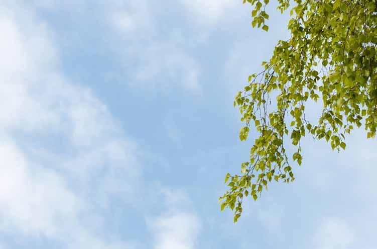 Ur kalendern På gång i sommar Du hittar hela kalendern på www.svenskakyrkan.se/vaxjo. Om du vill ha programmet för våra kyrkor hemskickat, välkommen att höra av dig! 0470-70 48 00.