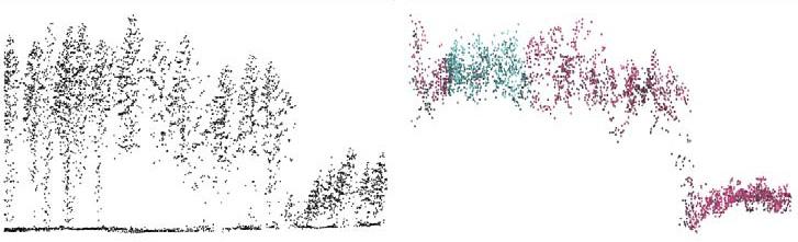Figur 1. Profil av skog med 3D data från laser (vänster) och 3D data från automatisk stereomatchning av flygbilder (höger) (Bild: Jonas Bohlin, SLU). Figure 2.