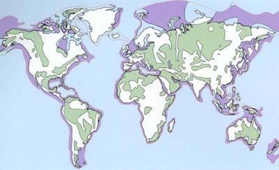Världens sedimentära bassänger Det mesta av världens oljebärande regioner har sedan länge identifierats Bassänger på