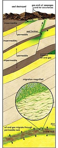 Petroleumsystemet 1. Moderbergarten genererar petroleum som senare pressas ut på grund av sin volymökning 2.