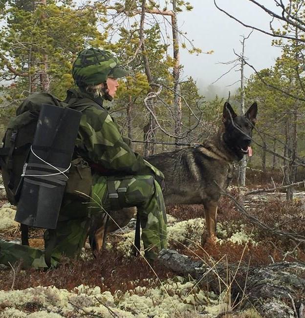 genomsök och att väga in tid, terräng, väder, hotbild och hundarnas egenskaper, är nödvändigt såväl för hundföraren i förbandet, hundbefälet och som för patrullhundsinstruktören.